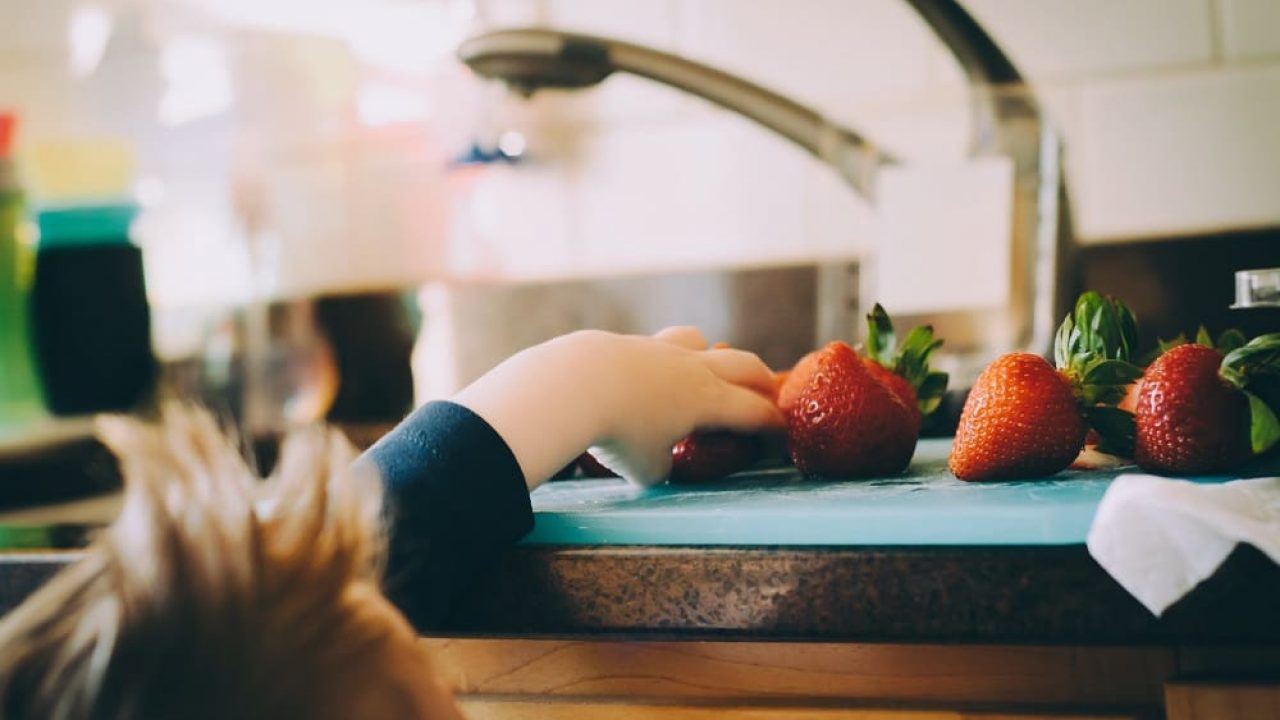 lunch tactics for toddlers